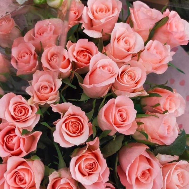 Photo de profil pour le VTC VTC-AZ-13 à Marseille